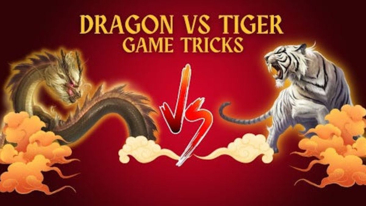 mygame-playing-live-dragon-tiger-winning-strategy-cover-mygame22